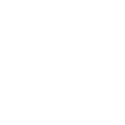 World Design Week