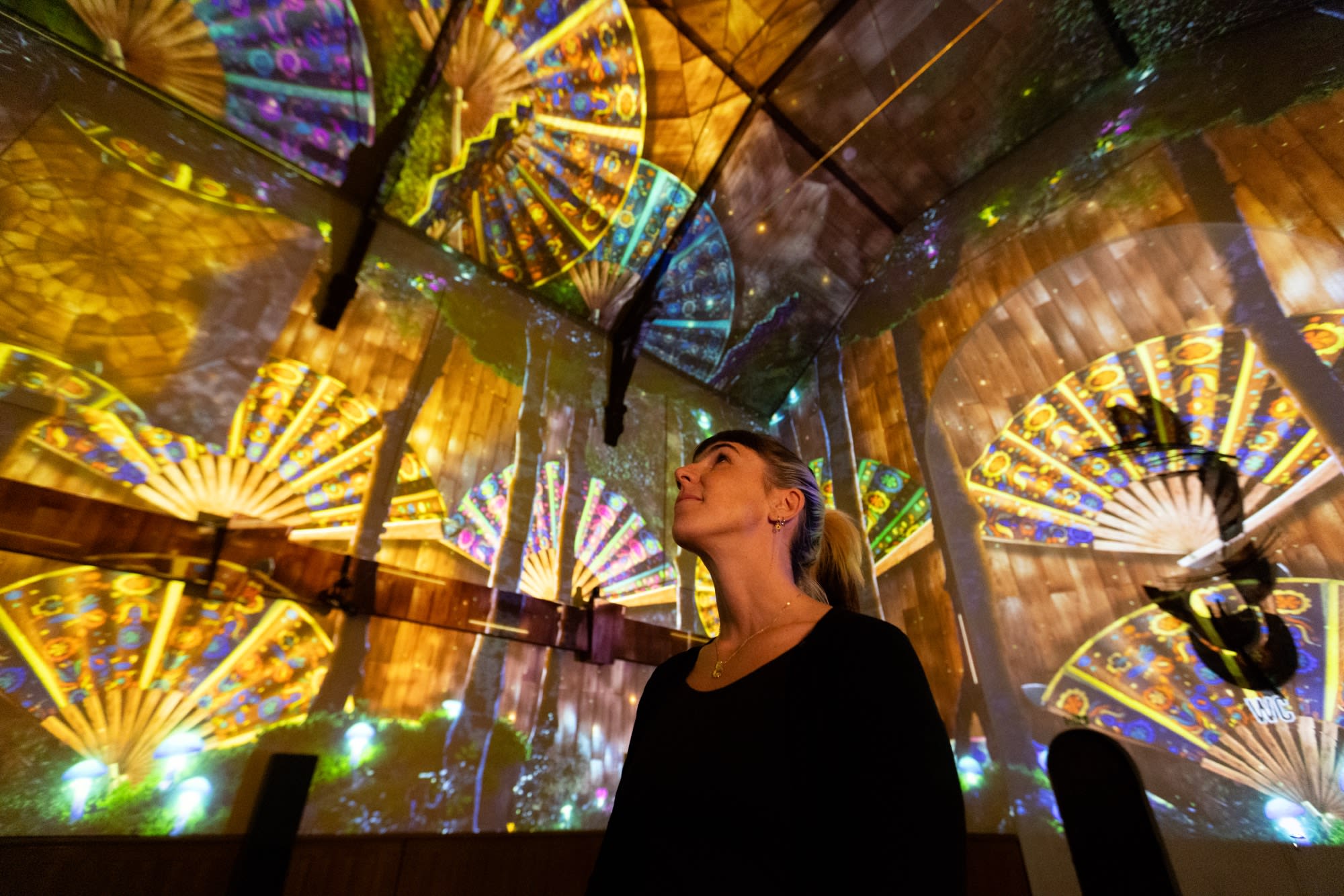 FLOW, Immersive experience by PROJEKTIL (image 2)