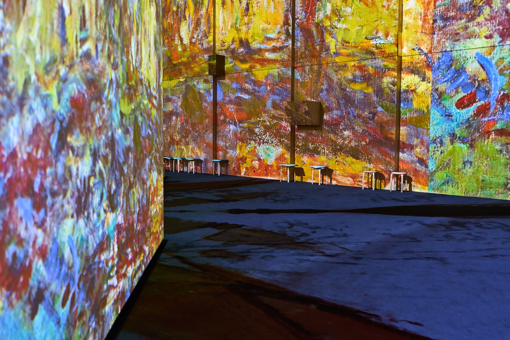 MONET'S IMMERSIVE GARDEN