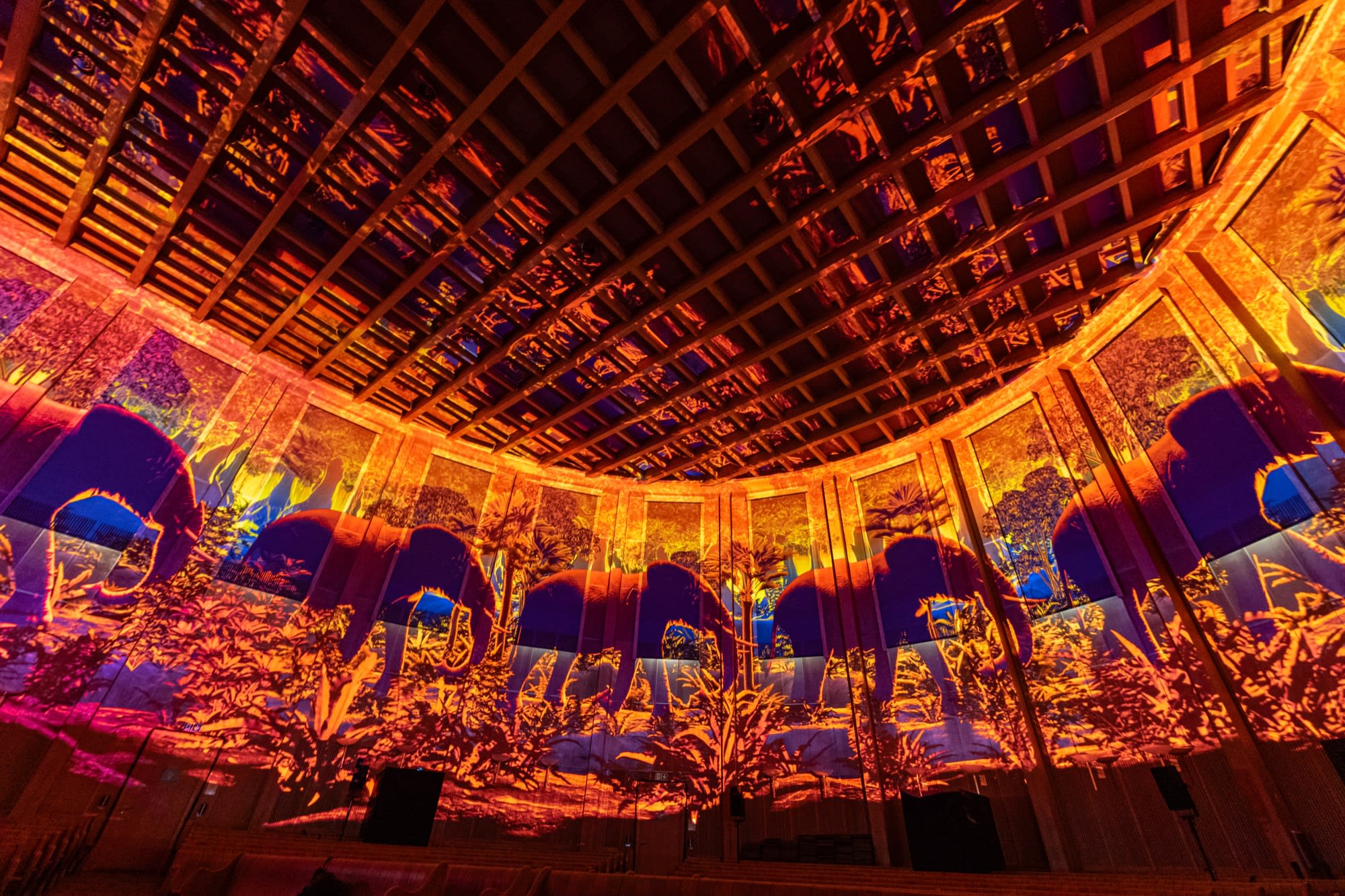 PIXEL ZOO JUNGLE, Immersive experience by PROJEKTIL (image 2)