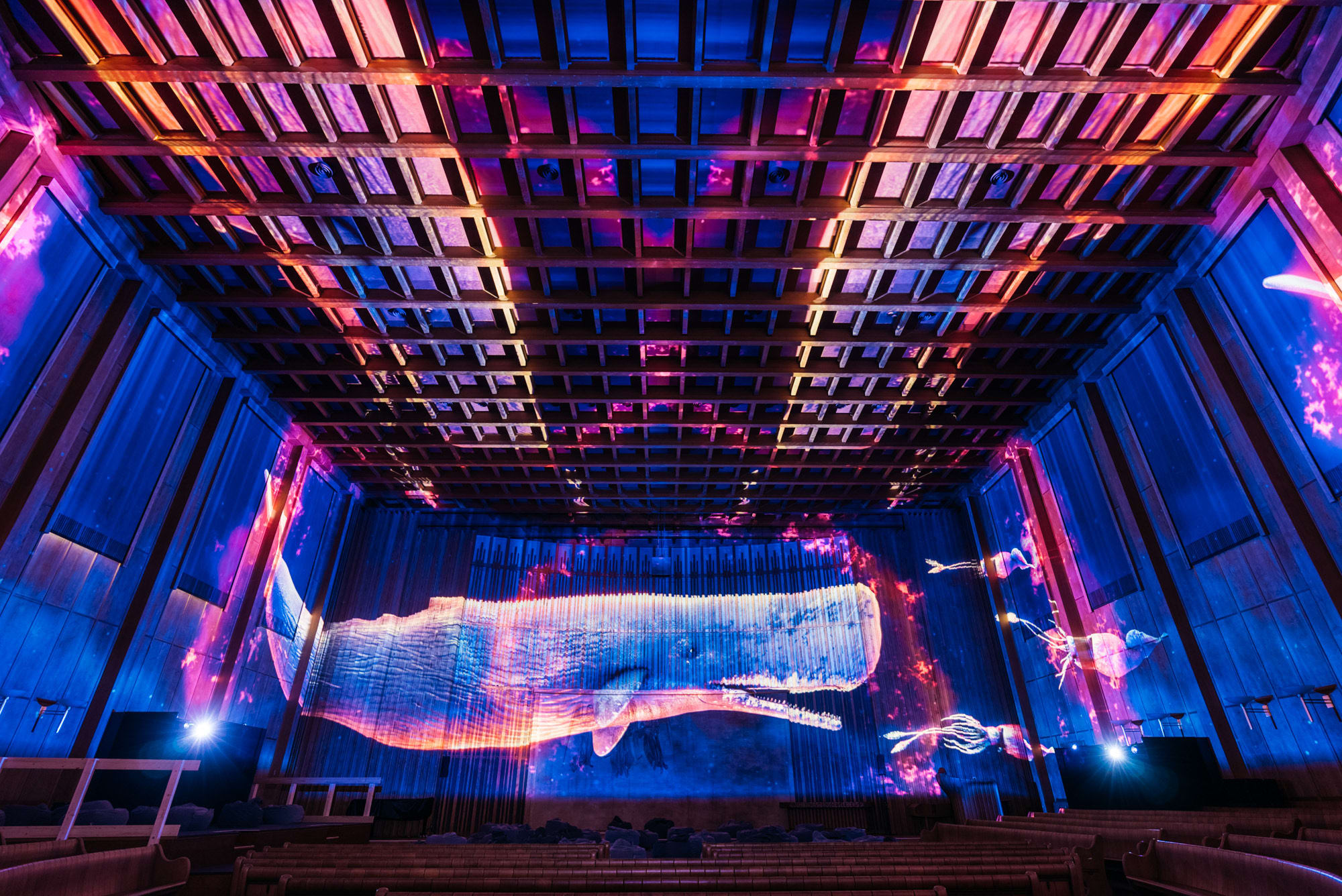 PIXEL ZOO OCEAN, Immersive experience by PROJEKTIL