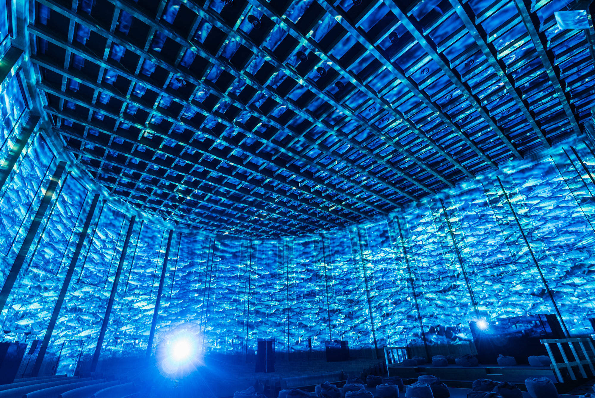 PIXEL ZOO OCEAN, Immersive experience by PROJEKTIL (image 2)