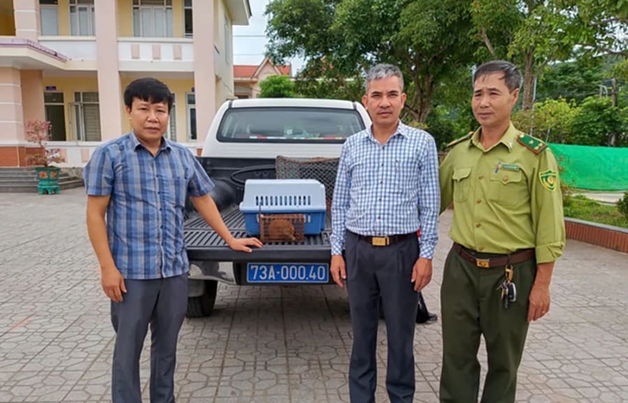 Tiếp nhận cá thể cu li nhỏ từ UBND xã Tuyên Bình - N.H