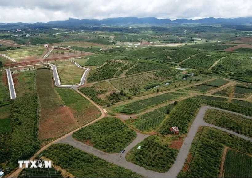 (Ảnh minh họa: Nguyễn Dũng/TTXVN)