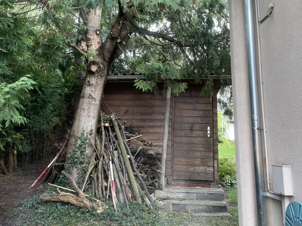 Dachrinne und Ablaufrohr in Vaduz erneuert - Nach der Ausführung - Bild 4