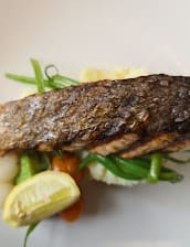 Latest Recipe