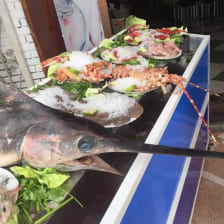 King II, restaurant à Oran 4