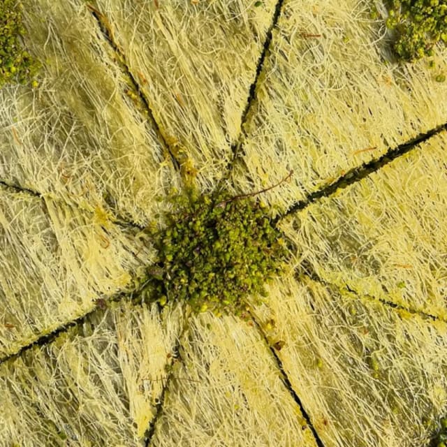 Kunafa Istanbul 5