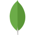 MongoDB