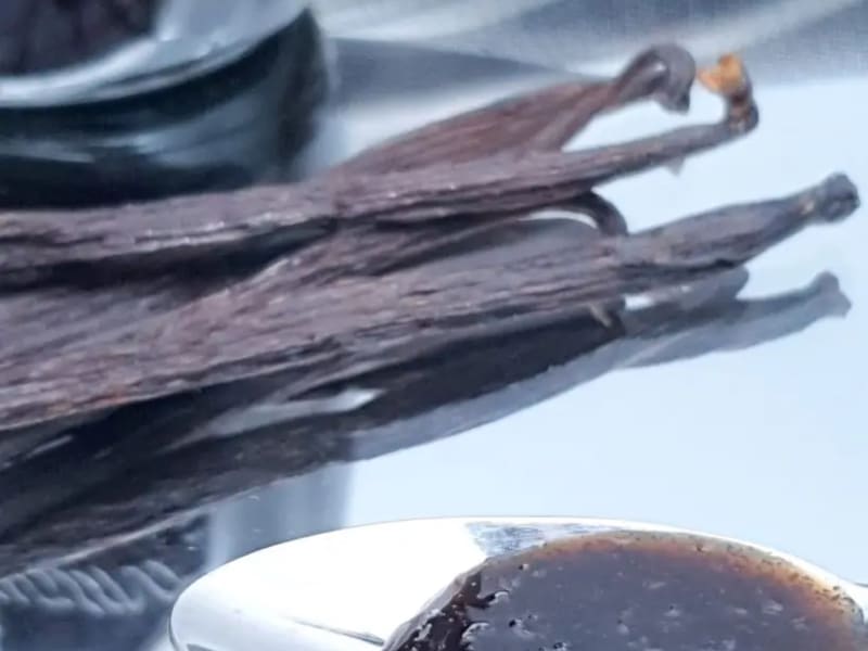Pâte de gousse de vanille maison