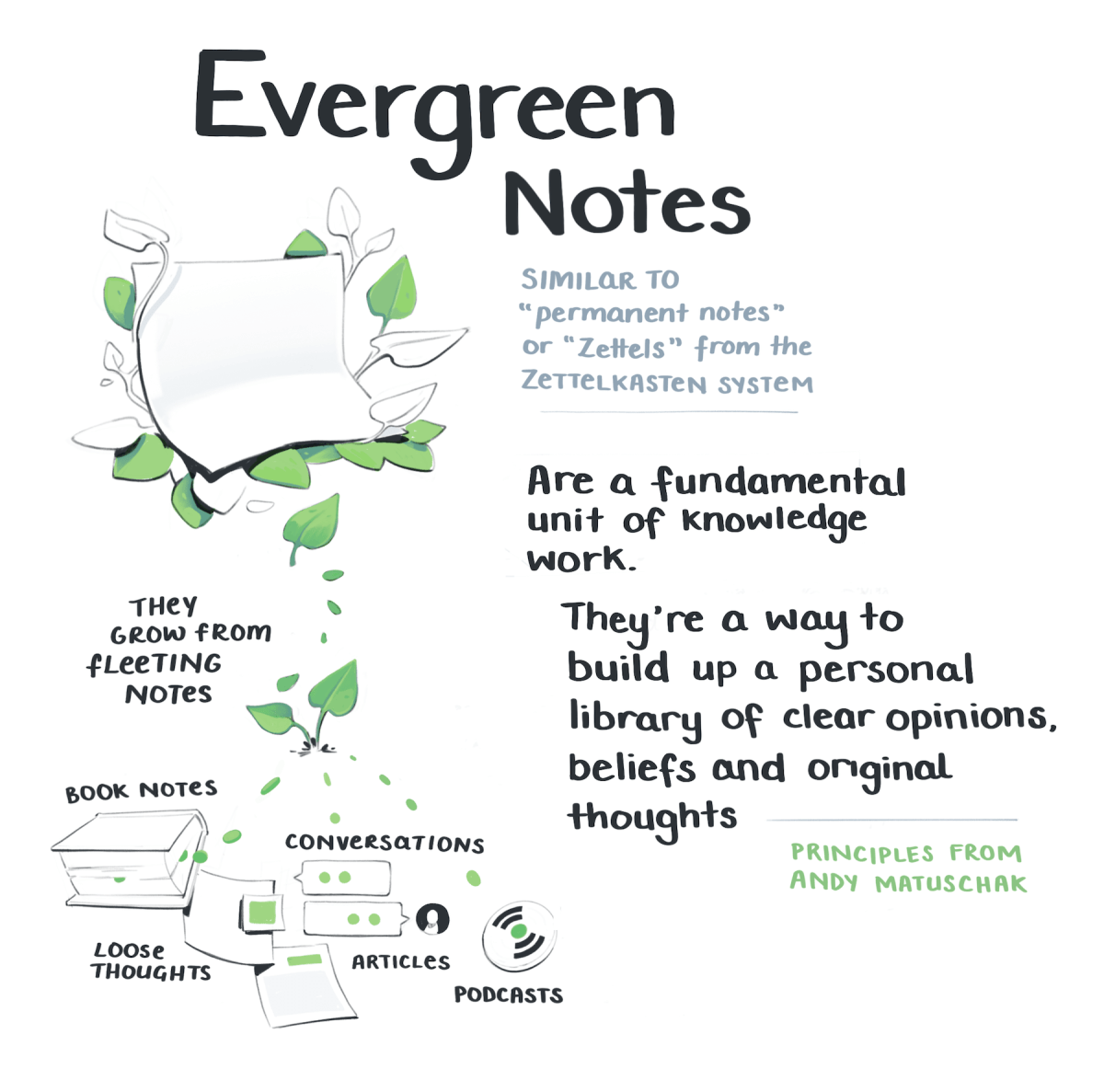 Evergreen notes are a fundamental unit of knowledge work. They're a way to build up a personal library of clear opinions, beliefs, and original thoughts.