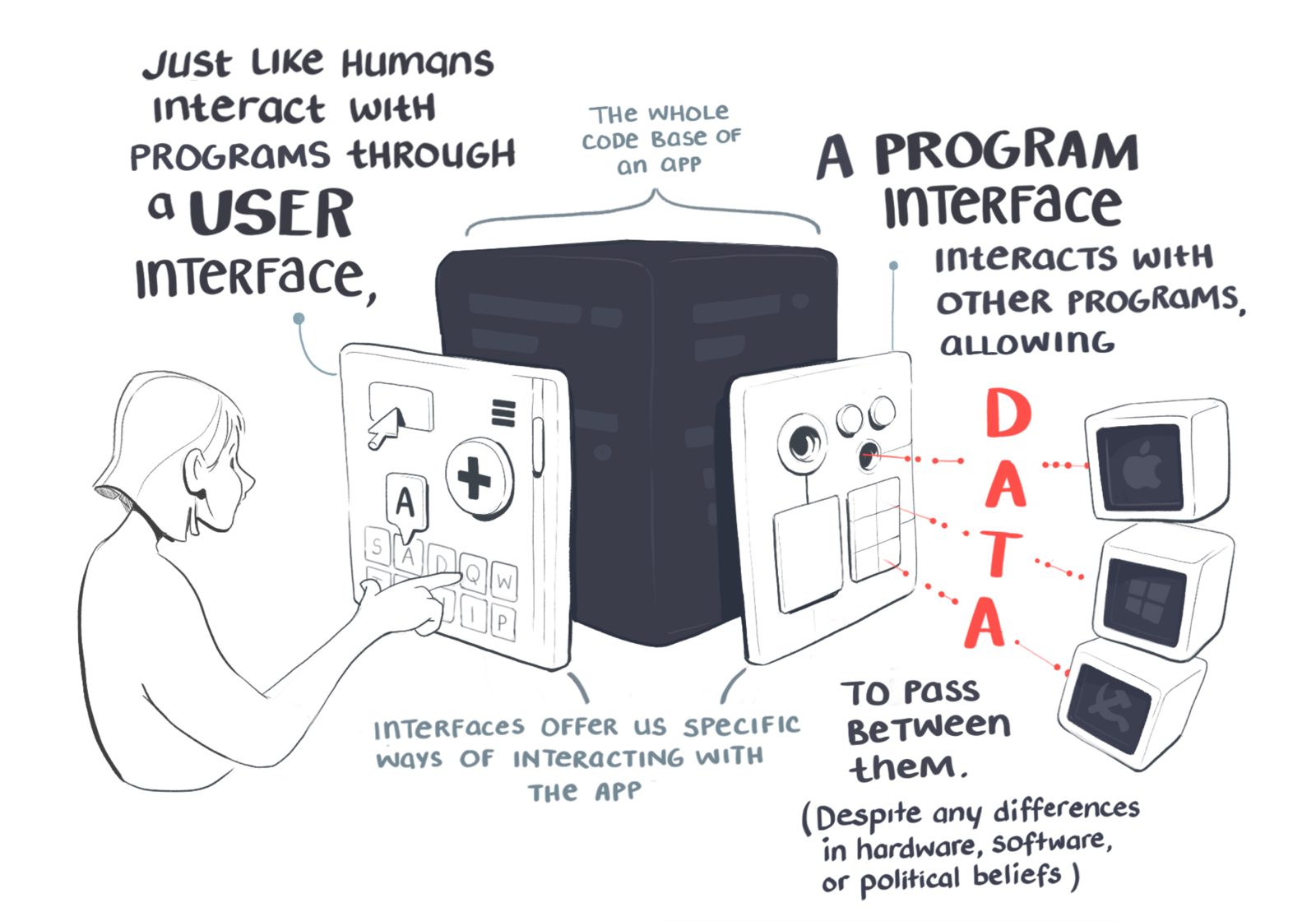 Just like humans interact with a programme through a user interface, a programme interface interacts with other programmes