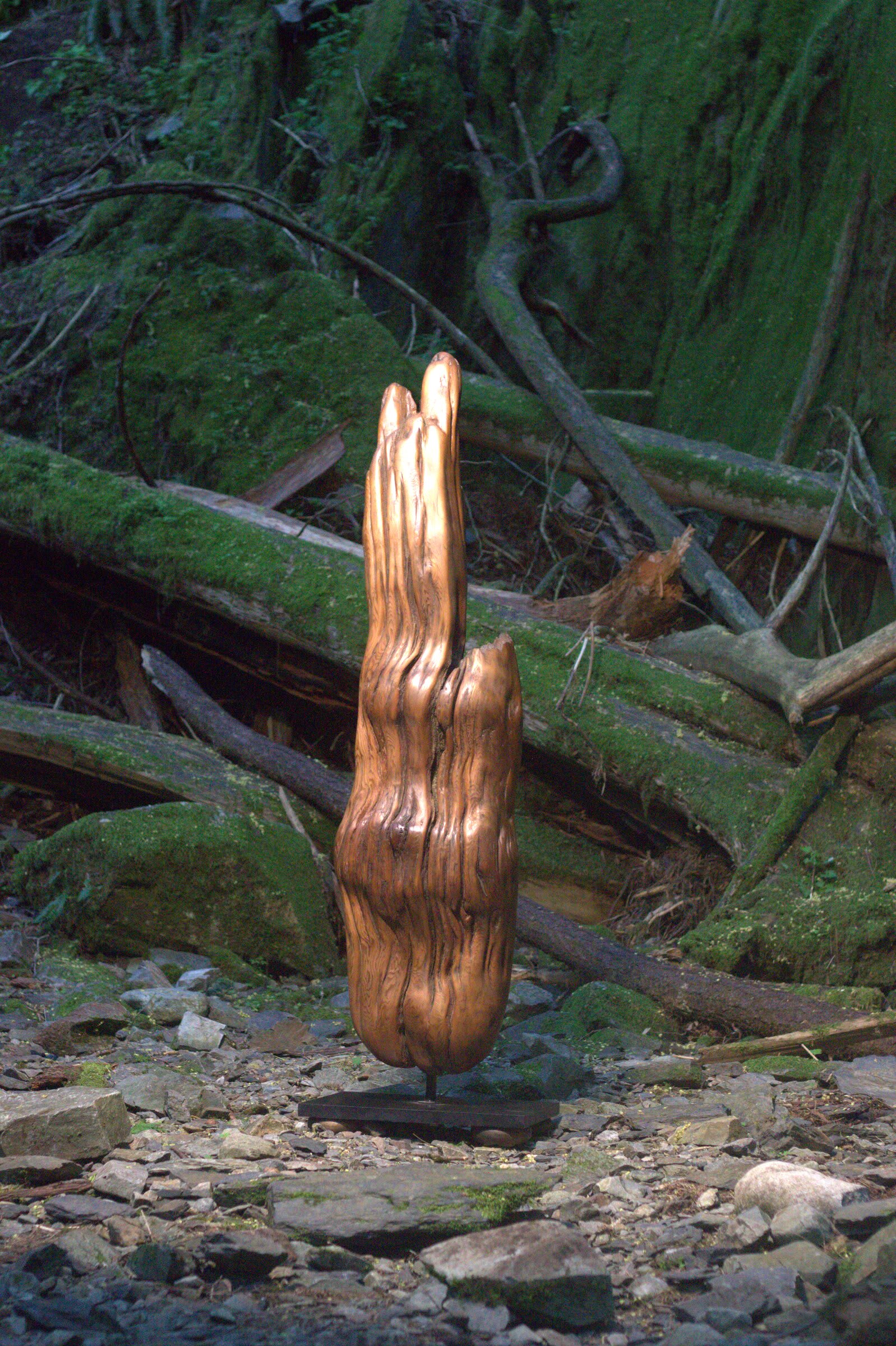 Ophelia - Image 1