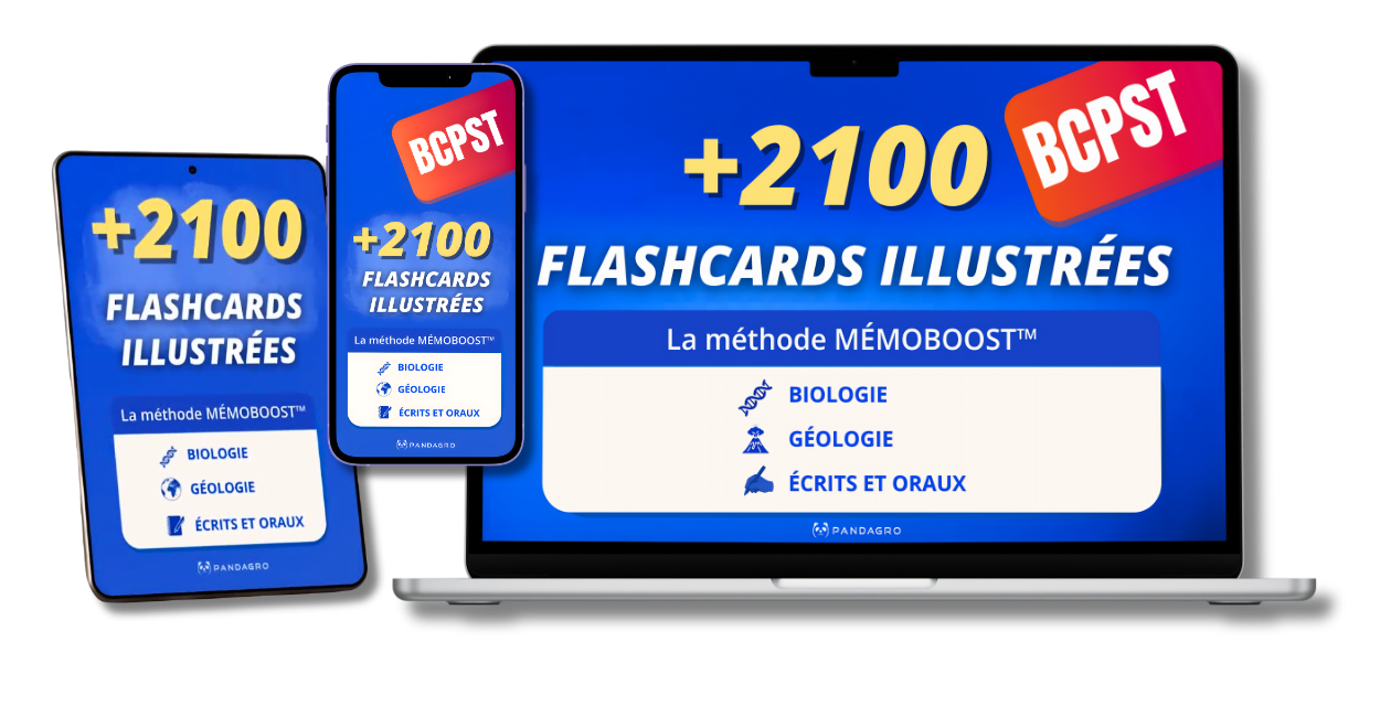 Pack BCPST SVT – 2100+ flashcards Pandagro