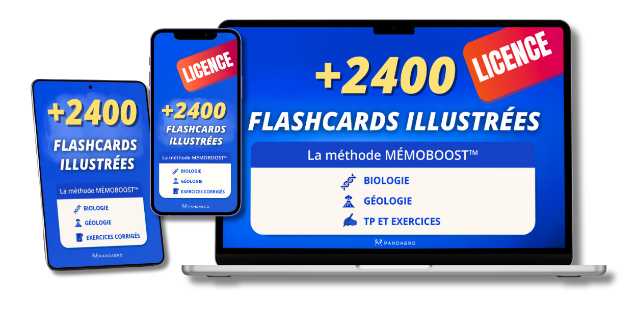Pack Licence Pandagro