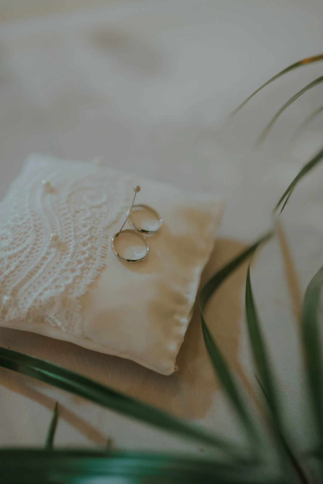 Svatební fotografie - Anežka & Štěpán - Malá Štáhle