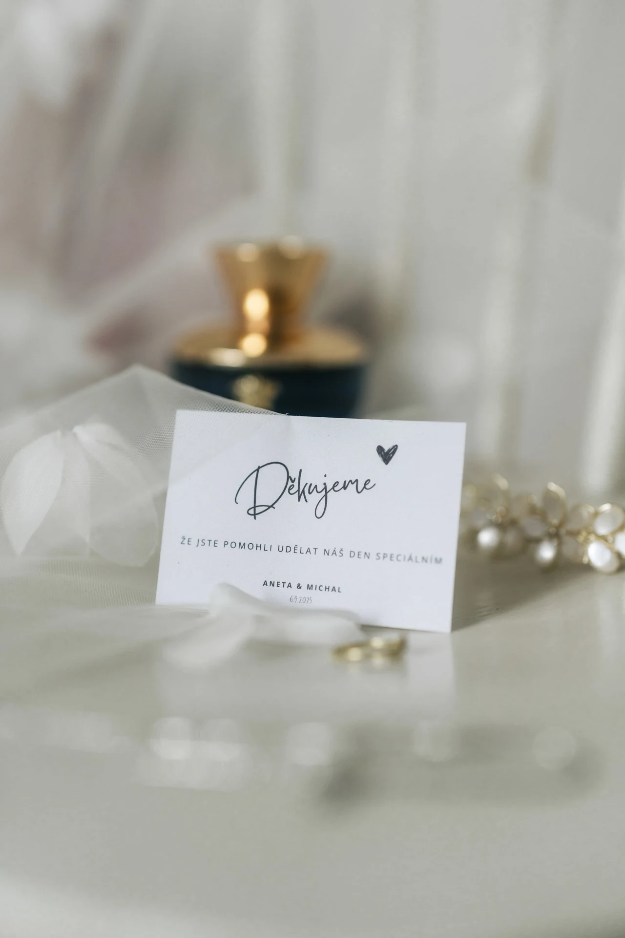 Svatební fotografie - Aneta & Michal - Nové Město na Moravě