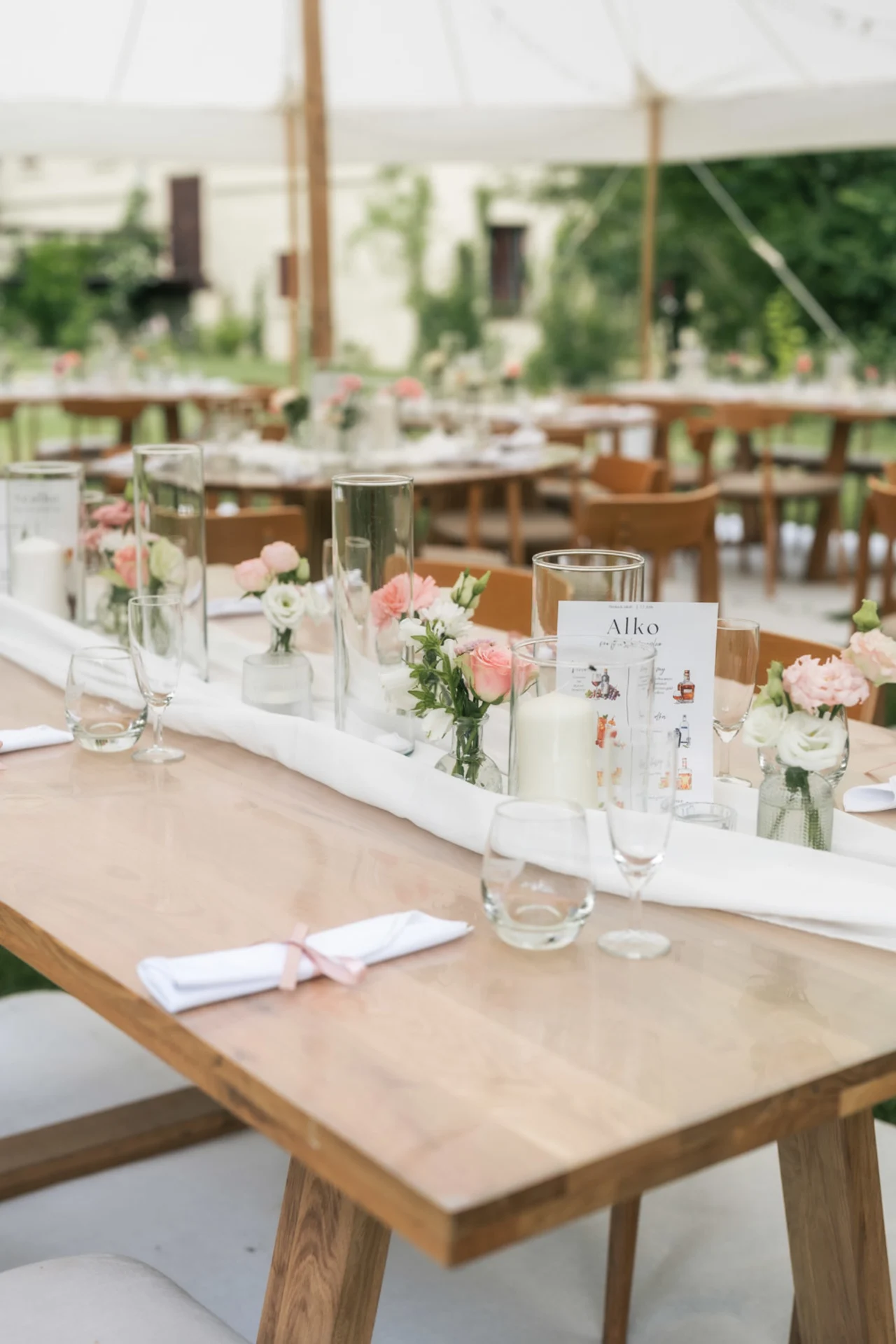 Svatební fotografie - Denisa & Kuba - Celestia House, Velké Opatovice
