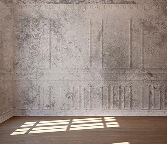 image-before-our-service