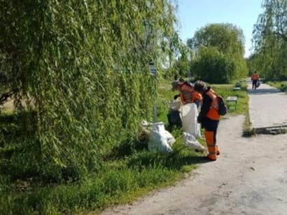 В Азове прошла уборка пляжа