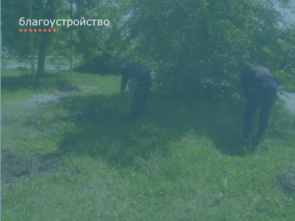 Сегодня на территории Усть-Донецкого городского поселения состоялся очередной субботник