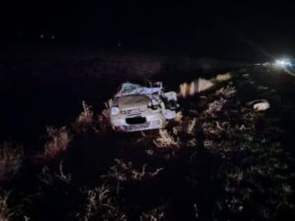 Ребенок и двое взрослых погибли в аварии на трассе Дубовское - Заветное