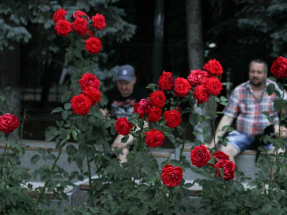 «Кубок по футболу и гала-концерт»: стала известна программа Дня города в Ростове