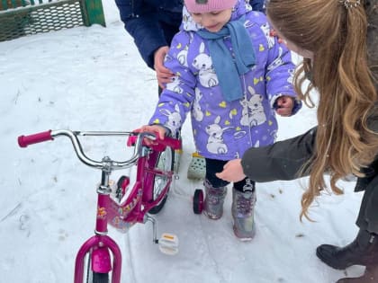 Депутат Госдумы Антон Гетта со своей командой исполнил новогодние желания детей из Ростовской области