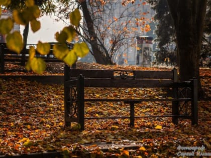 Пасмурная погода ожидается в Таганроге в пятницу