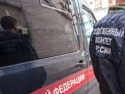 Следком РФ рассмотрит жалобу жительницы Таганрога на некачественную медпомощь