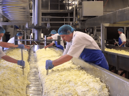 В Таганроге может продаваться опасный творог: Россельхознадзор уже изъял в области 5,5 тонн фальсификата