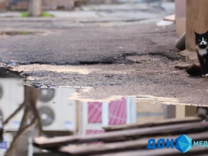 Утром дождь, а ночью похолодание: какой будет пятничная погода в Ростове-на-Дону