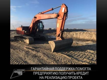 Почти 60 бизнесменов Дона получили 441,7 млн рублей гарантийной поддержки с начала года