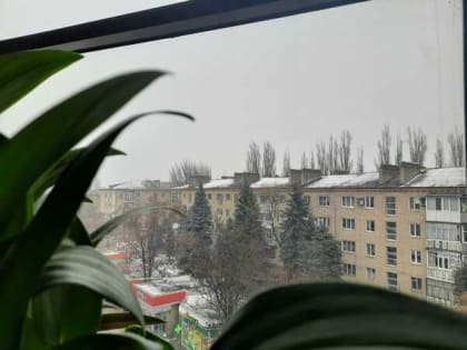 Сильный ветер и мороз обещают шахтинцам