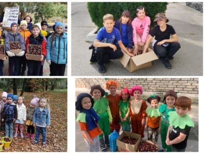 Проведена акция по сбору семян каштана и дуба