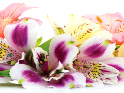 С Днём медицинского работника!