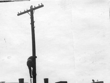 22 января 1943 года Сальск был освобождён от фашистских захватчиков