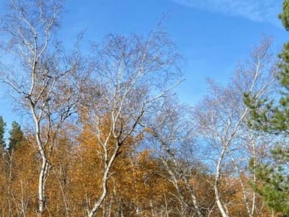 В Шахтах будет холодно и солнечно