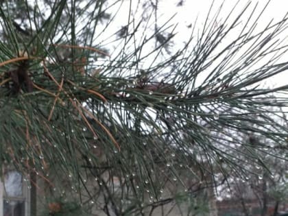 Пасмурная погода и дождь ждут шахтинцев