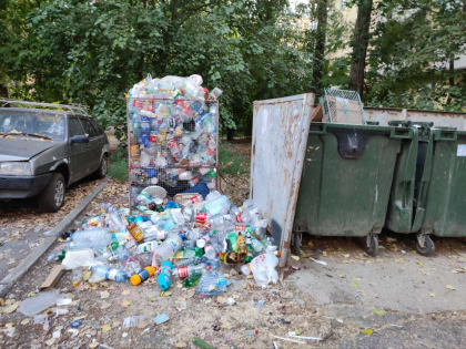 Проблемы раздельного сбора мусора в Ростове-на-Дону