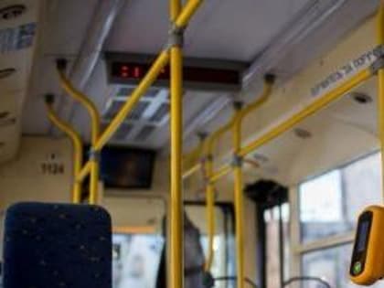 В Таганроге идет прием заявлений от региональных льготников о выборе  между ЕДВ и бесплатным проездом на 2024 год