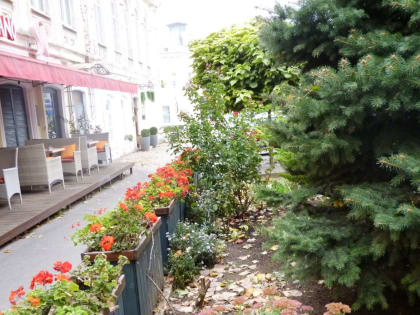 Погода в Таганроге 10 октября: без осадков и прохладно