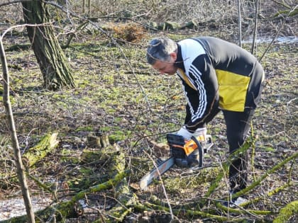 Общегородской субботник состоится в Волгодонске 17 февраля