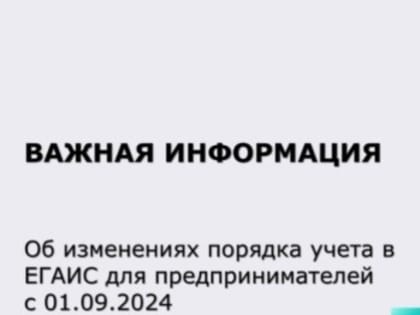 Новые требования для индивидуальных предпринимателей в России