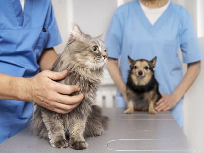 Роддом Ростовского перинатального центра открылся после мойки