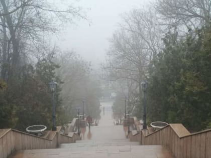 Погода в Таганроге 11 февраля: тепло, туман, возможен дождь