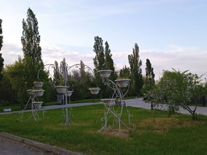 На улицах Таганрога высадят цветы на 21 млн рублей