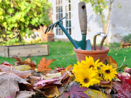 Советы владельцам приусадебных и дачных хозяйств: позднеосенние работы в саду