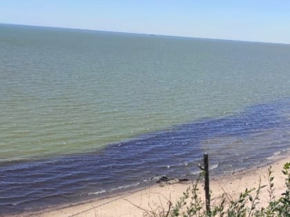 Минприроды и Росприроднадзор ищут виновных в сбросе стоков в Таганрогский залив