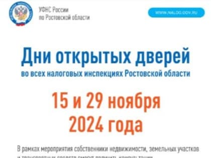 Налоговые проверки в Ростовской области